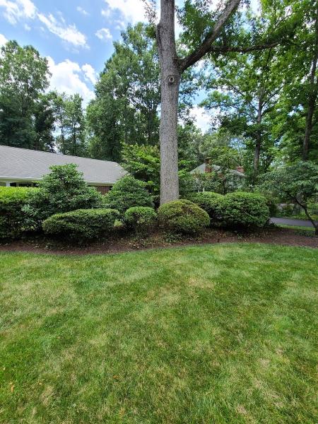 Weeded! Lawn Service