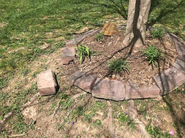 Weeded! Lawn Service