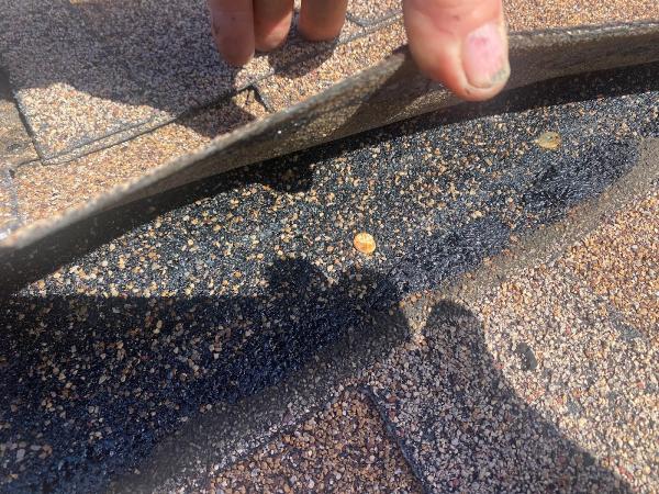 Dale Webb Roofing Inc