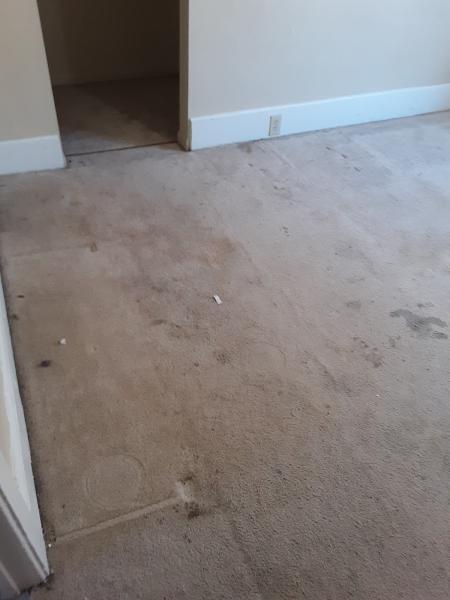 Imperial Carpet Cleaning