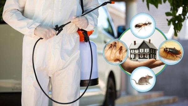 Westwood Pest Control