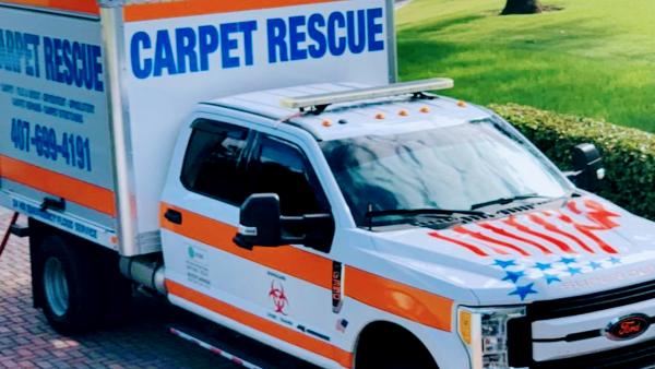 Carpet Rescue