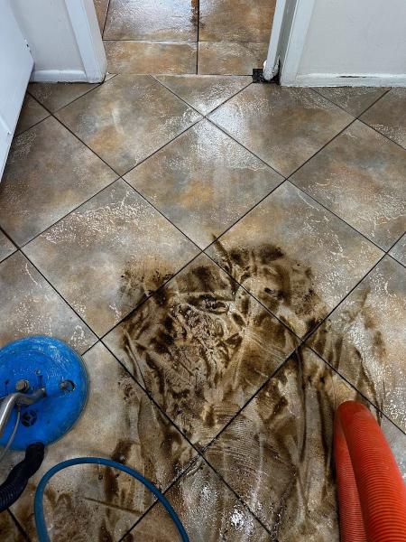Carpet Rescue