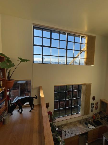 Five or Free Window Cleaning