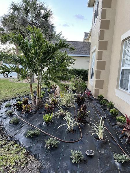 Brevard Landscaping and Curbing