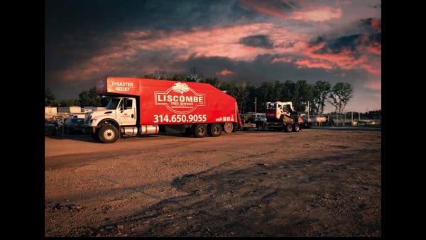 Liscombe Tree Service