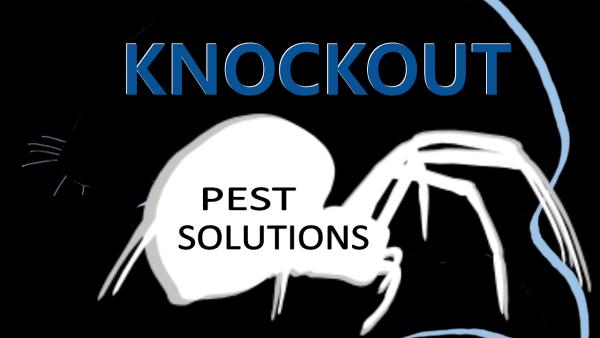 Knockout Pest Solutions