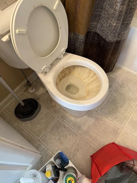 Cinderella's Cleaning