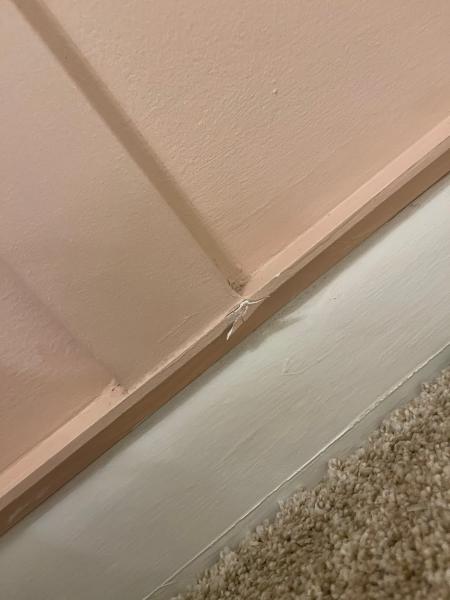 McSwain Carpets & Floors