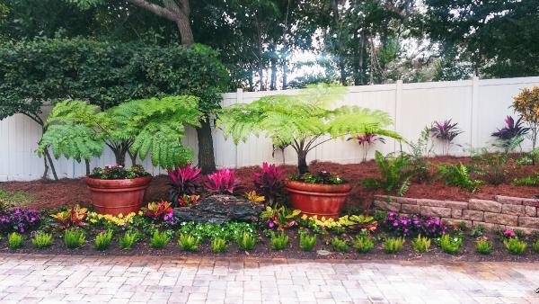 Buzz Landscapes