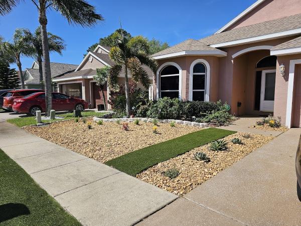 Buzz Landscapes