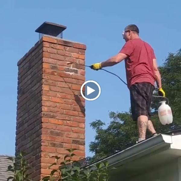Easy Home Improvement