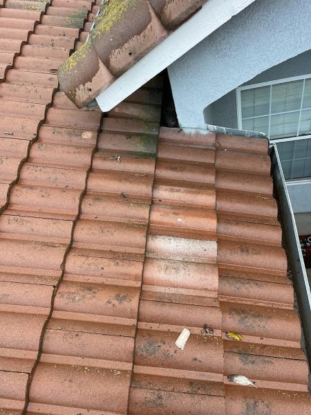 Roofing Handyman Services