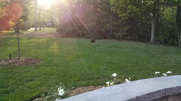 Outdoor Visions by Jeff Gray LLC