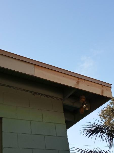 Roof Care