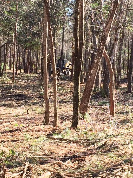 Carolina Hauling & Grading LLC