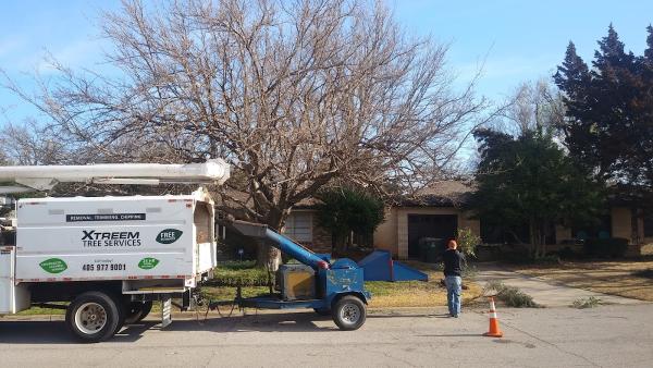 Xtreem Tree Services