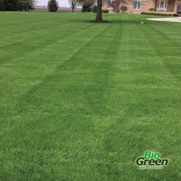 Bio Green Ohio