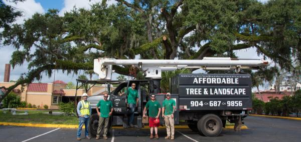 Affordable Tree & Landscape