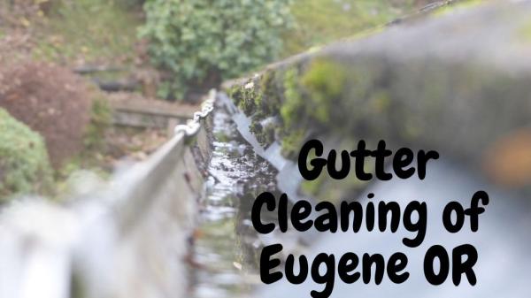 Gutter Cleaning