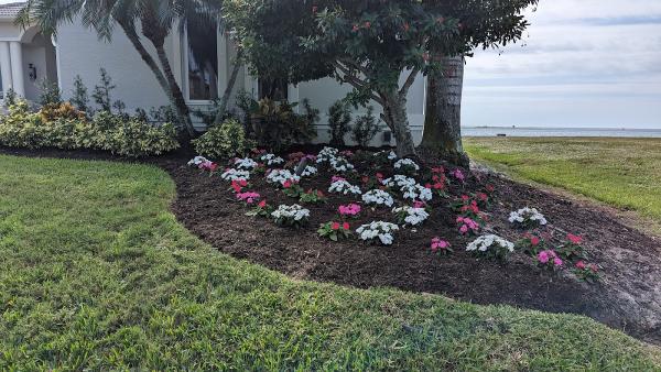 Sanchez Lawn Care Maintenance