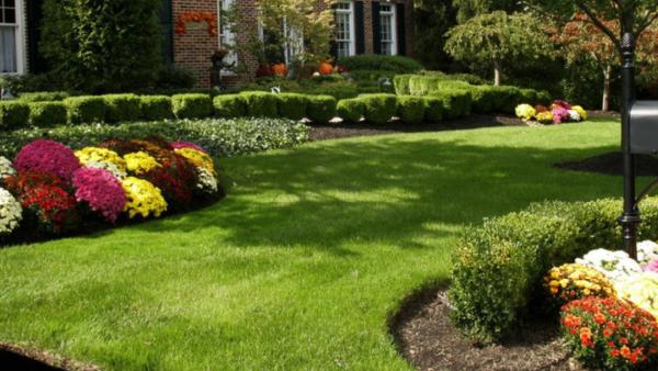 Complete Yard Care
