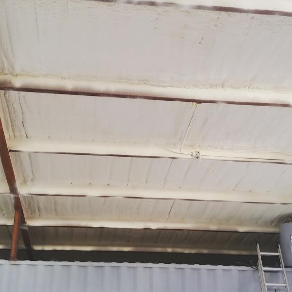 Travel Spray Foam
