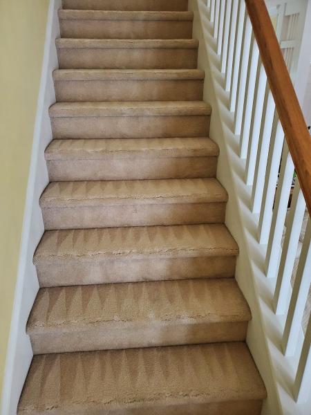 Elegant Carpet Cleaning LLC