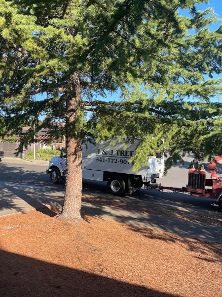 J&J Tree Service