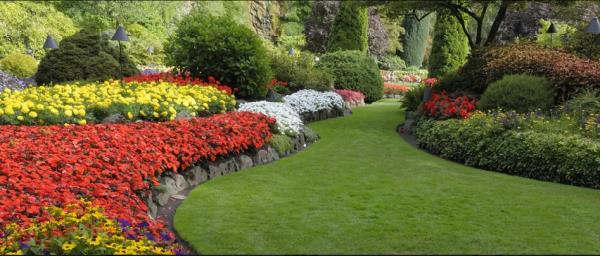 Elite Cuts Landscaping