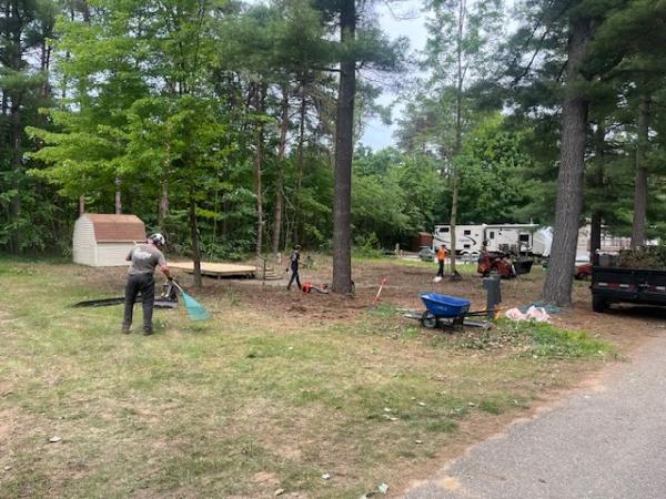 Shaffer Tree Services
