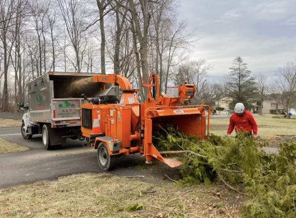 A&Y Landscaping and Tree Services LLC