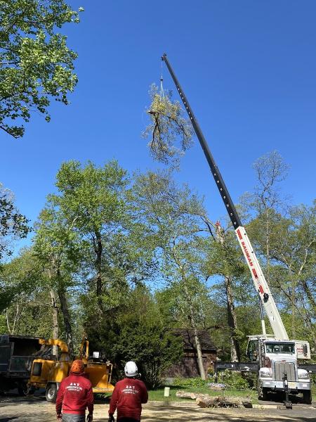 A&Y Landscaping and Tree Services LLC