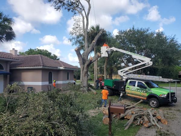 Delray Tree Service