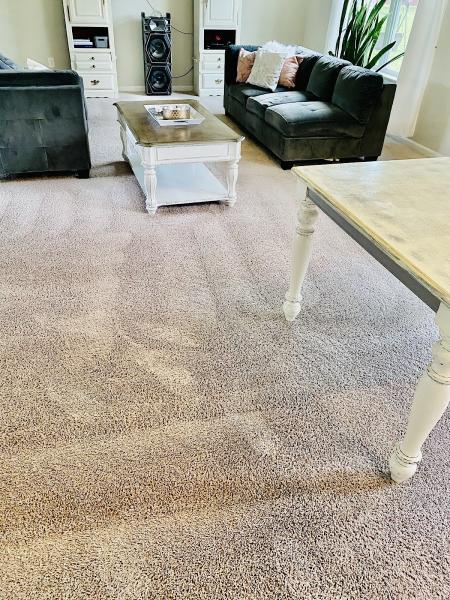 1st Choice Carpet Cleaning