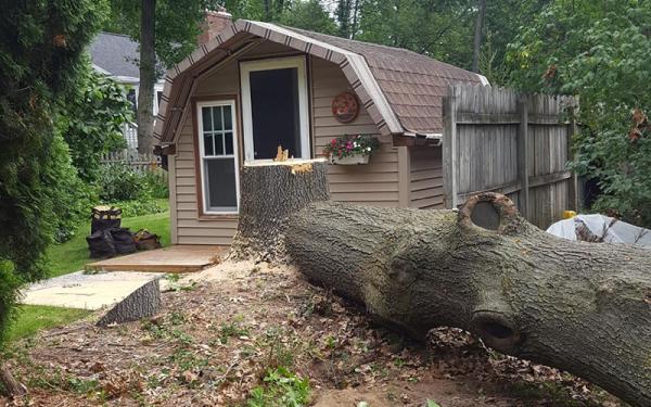 M&A All Seasons Tree Service