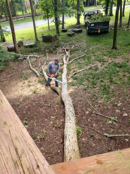 Rutherford Tree Service