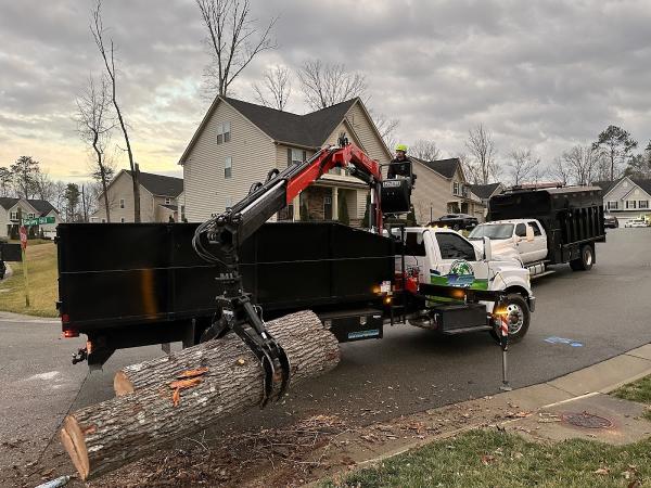 ZZ Tree Service