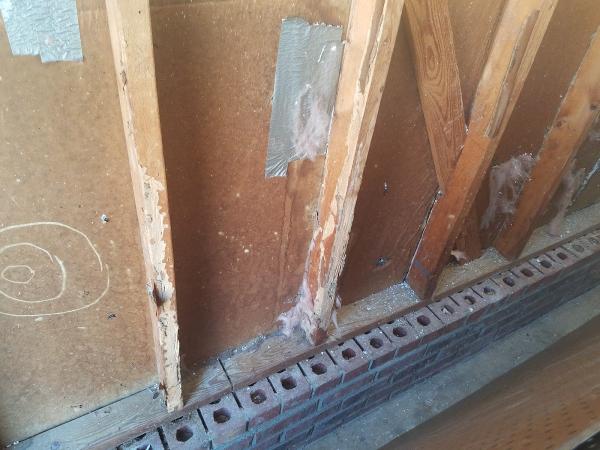 Pest Management Systems