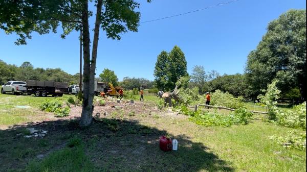 Oaks Lawn and Tree Service