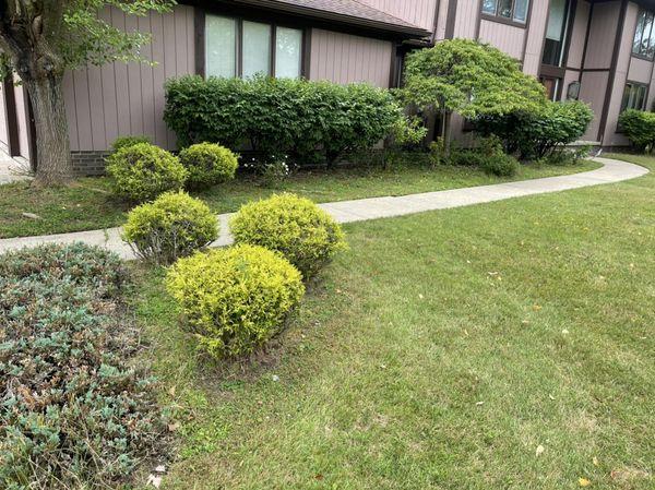 GM Landscaping & Design