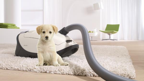 Park Ridge Vacuum