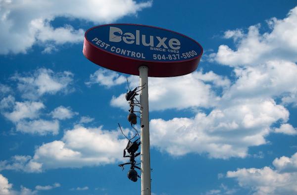 Deluxe Pest Control