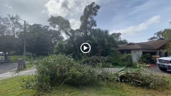 Orlando Evergreen Lawn & Landscaping