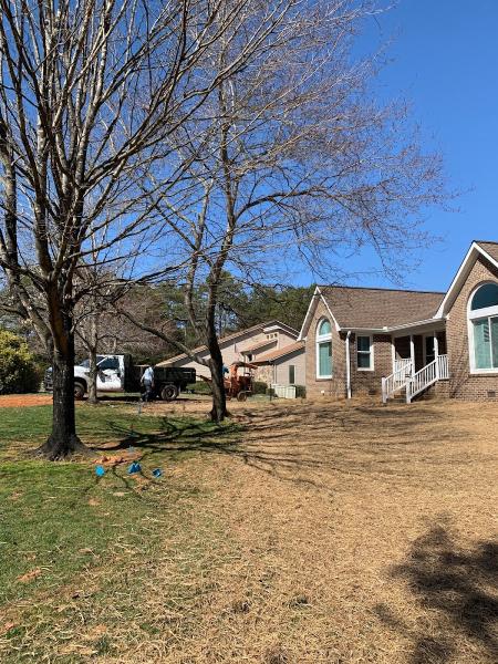 Classic Home Renovations