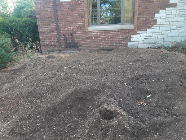 Briggs Stump Removal Stump Services Pros