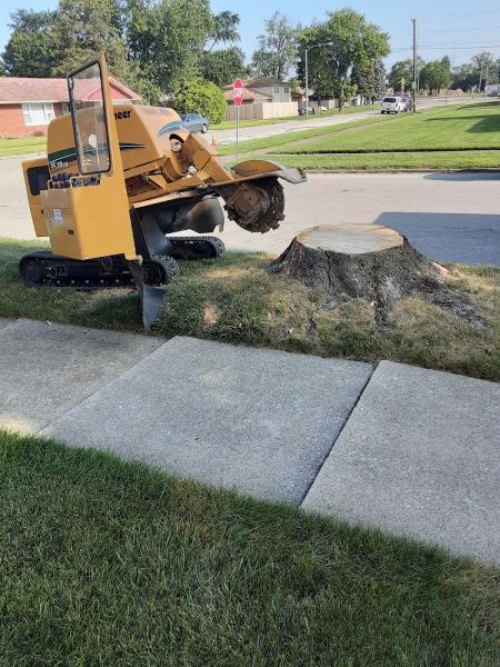 Briggs Stump Removal Stump Services Pros