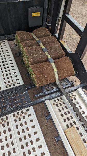 Duluth Sod