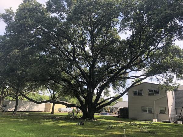H&H Tree Service