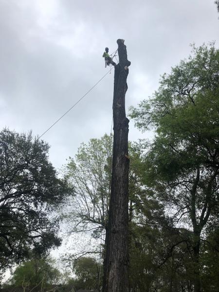 H&H Tree Service